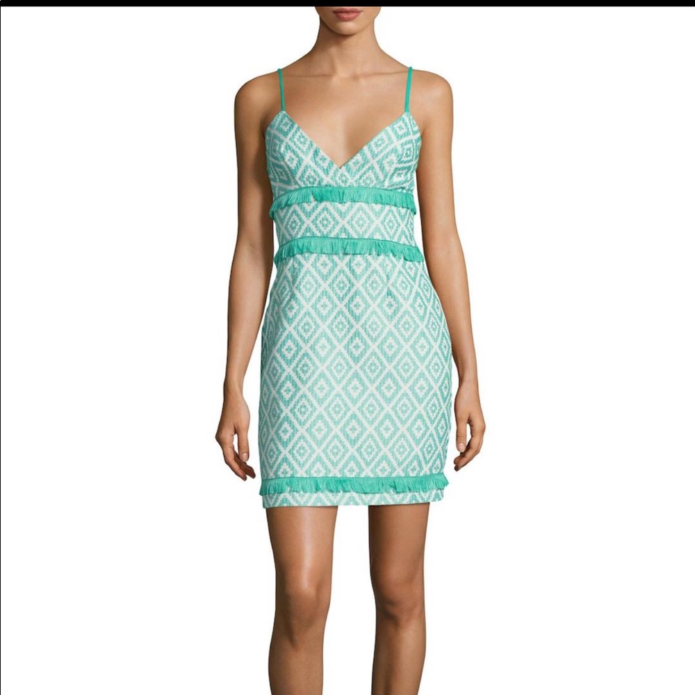 Elorie Ruffle Dress